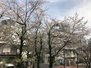 IMG_4775